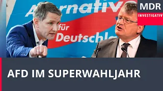 Extrem (und) unter Druck - Die AfD im Superwahljahr | Doku