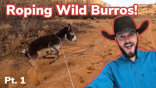 Roping Wild Burros On Navajo Reservation: [pt. 1] Vlog #32