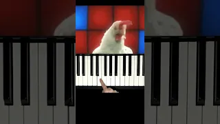 J.Geco - 🐔Chicken Song (Piano Easy)#shorts #chickensong #pianocover #pianotutorial