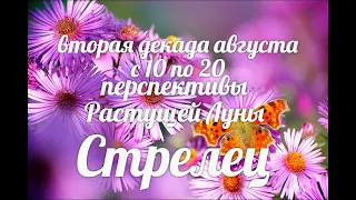 ♐СТРЕЛЕЦ с 10-20 августа 2021. Таро-Гороскоп Стрелец/Taro_Horoscope Sagittarius.