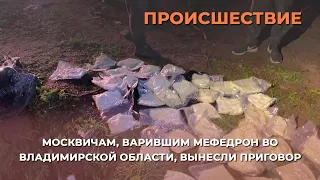 Москвичам, варившим мефедрон во Владимирской области, вынесли приговор