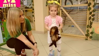 ВЛОГ Идем в Контактный зоопарк Трогаем животных VLOG A petting zoo and Touching the animals