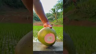 coconut slicing will make you drool #satisfying #shorts