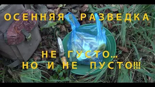 Осенняя разведка! Не густо, но и не пусто!