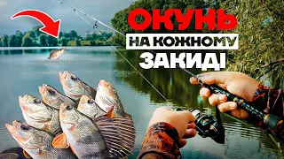 Окунь на спінінг  🤔Силіконова Приманка, що ловить завжди. Спінінгова риболовля в Україні 2022