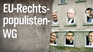 Die Rechtspopulisten-WG in Europa | extra 3 | NDR