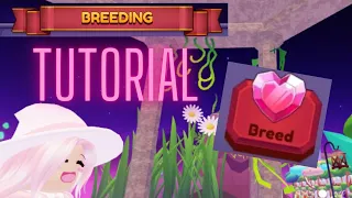 Dragon Adventures: Breeding tutorial