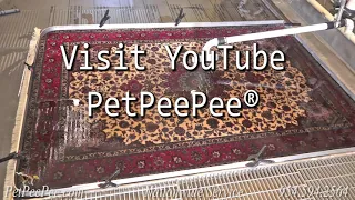 Rug cleaning tips for Food and drink spills on a Persian rug carpet