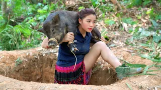 Young girl's way of trapping wild boars, searching for wild food | Phượng Pú