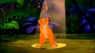 The Lion King- (Simba) Dirty Paradise