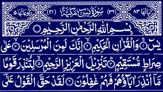 Best Recitation of Surah Yasin, Surah Al-Rahman, Surah Waqiah, Surah Al Mulk - Daily Tilawat | 41