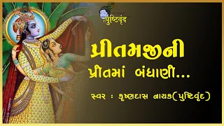 Pritamji ni Prit ma Bandhani | પ્રીતમજીની પ્રીતમાં બંધાણી | Vaishnav Raas | Krushnadas Nayak