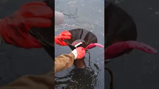 Found Siren Head Underwater While Magnet Fishing
