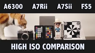 Sony A6300 vs A7Rii  vs A7Sii vs FS5 Part I: High ISO comparison in 4k