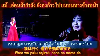 ♫ Subaru (Xing 星) Duet Version 💗Langgalamu  💗Teresa Teng [ Cantonese - Japanese - Eng -Thai Sub]