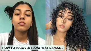 HOW TO GET YOUR CURLS BACK | Ultimate Heat Damage Repair Guide