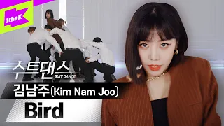 여전사 퀸남주의 솔로 데뷔🔥 | Kim Nam Joo _ Bird | 수트댄스 | 에이핑크 | Suit Dance