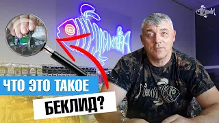 Что такое беклид? Для чего нужен беклид? Советы начинающим рыбакам. #Shorts