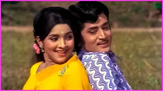 Radha Andinchu Song | Murali Mohan, Roja Ramani Evergreen Superhit Song | Jebudonga Movie Songs