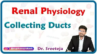 Collecting Ducts : Renal physiology USMLE Step 1