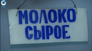 Россельхознадзор выявил несколько способов фальсификации молочной продукции