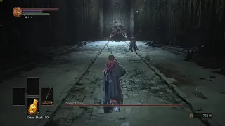 Dark Souls 3 Sister Friede & Father Ariandel SL1 NG +0 No Sprint/Roll/Block/Parry [Segmented]