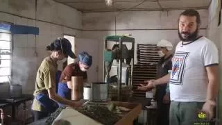 Деревенский завод чая пуэр, округ Пуэр, Юньнань, Китай. апрель 2016