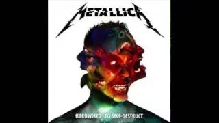 Metallica   Spit Out The Bone