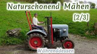 Naturschonend Mähen [2/3]: Stellschrauben WÄHREND des Mähens – für ALLE | Ökologin erklärt