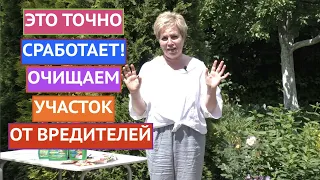 ИНОГДА БЕЗ ХИМИИ НИКАК! ЭТИ ПРЕПАРАТЫ ТОЧНО СПРАВЯТСЯ С ВРЕДИТЕЛЯМИ!