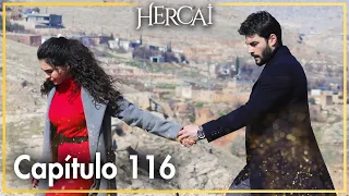 Hercai - Capítulo 116