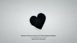 Sander van Doorn V Boris Brejcha - Love Is Darkness w/ Spicy (Agust Olivar Mashup)