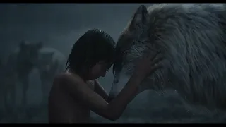 Jungle Book (2016) - Mowgli leaves the wolf pack