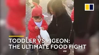 Toddler vs pigeon: Chinese kid steals food from pigeon’s beak