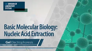 Basic Molecular Biology: Nucleic Acid Extraction – Gel Electrophoresis