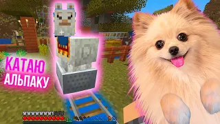 КАТАЮ АЛЬПАКУ НА СОБСТВЕННОЙ ЖЕЛЕЗНОЙ ДОРОГЕ В МАЙНКРАФТ | MINECRAFT