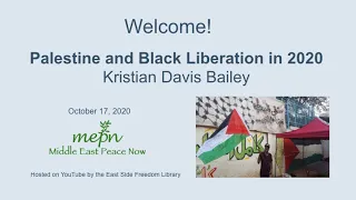 Palestine and Black Liberation in 2020