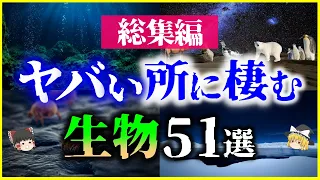 【ゆっくり解説】【総集編】ヤバい場所に棲む生物51選を解説/過酷な環境、面白い場所に住む生物たち【作業用】【睡眠用】