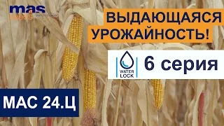 Проект WATERLOCK: 6 серия. МАС 24.Ц - как получить высокий урожай кукурузы