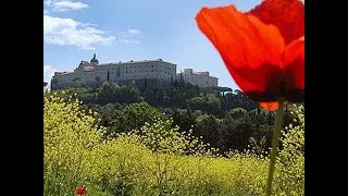 Rzeź pod Monte Cassino Lektor PL [Mr Otthy]