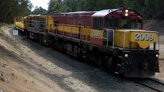 TasRail DQ 2009 TR14 #55 train with empty log wagons crossing Magazine Road