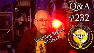 Backyard Beekeeping Questions and Answers Episode 232, working bees at night? With a red light?