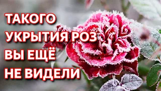 Обрезка и укрытие роз на зиму. Как обрезать розы осенью. Лучшее укрытие для роз.