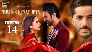 Tum Bin Kesay Jiyen Episode 14 | 26 February 2024 (English Subtitles) ARY Digital