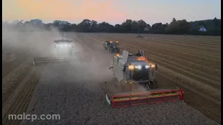 Harvest 2021 - F. S. Watts End of Harvest Video,  Claas Lexion 770TT & 630 in last field of wheat