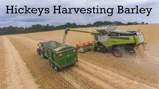 Hickeys Combining Winter barley