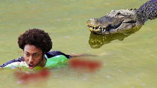 This Man Saved A Crocodile From Dying. Years Later, an Unforeseen Event Occurred