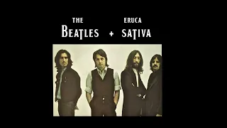 THE BEATLES ft. ERUCA SATIVA - ELEANOR RIGBY (THE BEATLES AI COVER)