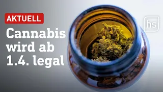 Teil-Legalisierung von Cannabis beschlossen – CDU Hessen wollte es verhindern | hessenschau