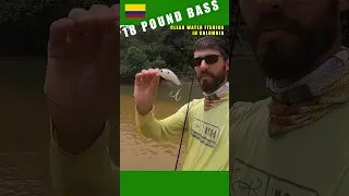 Catching a 18 Pound Bass in Colombia [Bass Fishing] #fishing #bass #bassfishing #colombia #bigfish